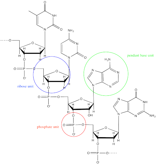 Structure & Reactivity Macromolecules